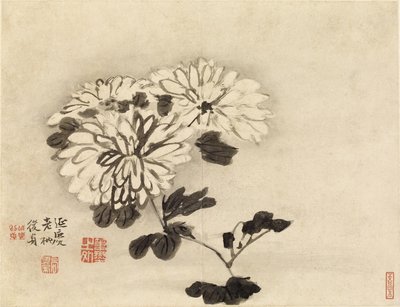 菊 作： Gao Qipei